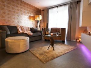 列日SuiteDreams - Relax Suite Liège的带沙发和桌子的客厅