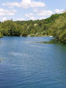 Donji Zvečaj的住宿－Kuca za odmor Braco，一条大蓝色的河,有树木在后面