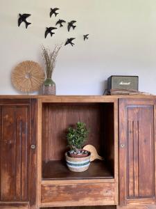 a wooden cabinet with a potted plant and birds on the wall at Casa dos Avós in Póvoa de Lanhoso