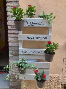 a wooden sign with potted plants on a wall at B&B Brunamonti in Arcevia