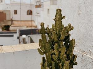 Fotografia z galérie ubytovania Cool loft in the old town with rooftop terrace and fireplace v destinácii Tarifa