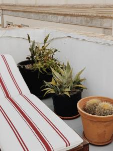 Fotografia z galérie ubytovania Cool loft in the old town with rooftop terrace and fireplace v destinácii Tarifa