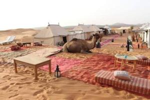 a camel laying on a blanket in the desert at Zagora Luxury Camp in Zagora +24 photos
