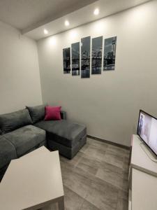 sala de estar con sofá y TV en Smestaj Stanisavljevic, en Soko Banja