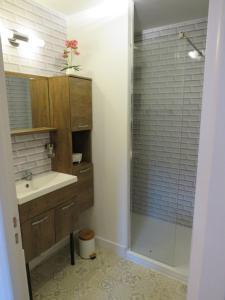 a bathroom with a shower and a sink and a glass shower door at La Lauzeta in Sarlat-la-Canéda