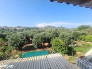 Fotografia z galérie ubytovania Antigone House v destinácii Ajos Stefanos