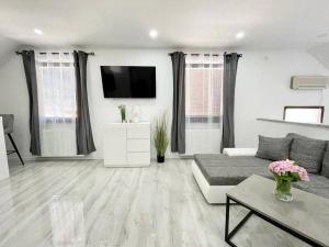 TV a/nebo společenská místnost v ubytování Apartman Pavenka