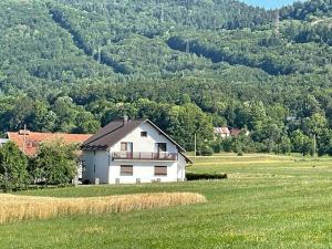 Příroda nedaleko apartmánu