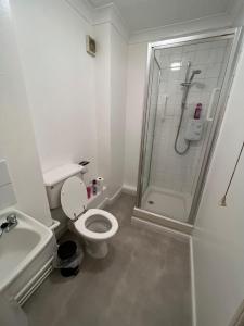 een badkamer met een douche, een toilet en een wastafel bij Entire One Bedroom Flat, 5 in Great Yarmouth