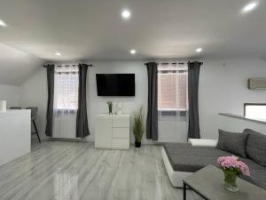 TV a/nebo společenská místnost v ubytování Apartman Pavenka