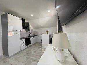 Kuchyň nebo kuchyňský kout v ubytování Apartman Pavenka