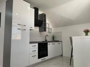 Kuchyň nebo kuchyňský kout v ubytování Apartman Pavenka