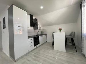 Kuchyň nebo kuchyňský kout v ubytování Apartman Pavenka