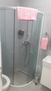 Koupelna v ubytování Apartman Dany