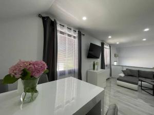 TV a/nebo společenská místnost v ubytování Apartman Pavenka