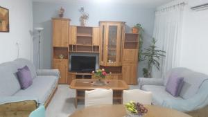 TV a/nebo společenská místnost v ubytování Apartman Dany