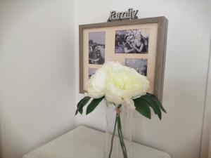 Fotografia z galérie ubytovania Amarillo Sun v destinácii Corralejo