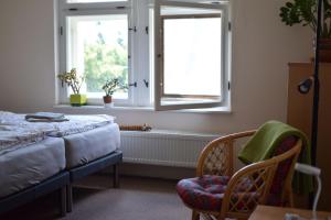 ein Schlafzimmer mit einem Bett, einem Fenster und einem Stuhl in der Unterkunft Apartmán Zahrádka in Česká Lípa