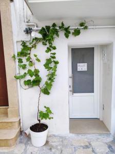 Mynd úr myndasafni af Brunaldi SUITE í Monopoli