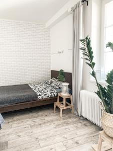 um quarto com uma cama e um vaso de plantas em Charming Apartment in Paradise called Bratislava em Bratislava