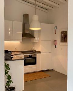 Virtuvė arba virtuvėlė apgyvendinimo įstaigoje Monte da Aparica