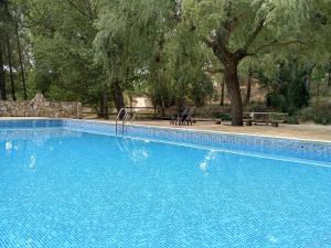 ein großer blauer Pool mit Bäumen und Bänken in der Unterkunft Casitas La Purísima Macho in Requena