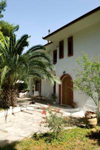 Κήπος έξω από το Spacious Villa close to an amazing Sithonia beach