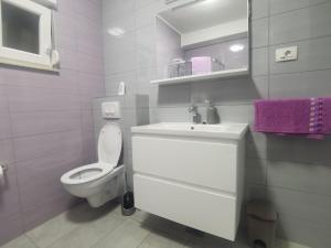 Koupelna v ubytování Apartman Dany