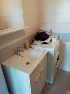 La salle de bains est pourvue d'un lavabo et d'un lave-linge. dans l'établissement Deni09, à Pomer