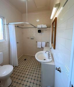 łazienka z umywalką i toaletą w obiekcie Tumbarumba Motel & Elms Restaurant w mieście Tumbarumba