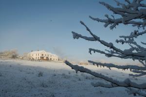 a snow covered tree branch with a house in the background at Penddaulwyn Uchaf Farm # Carmarthenshire in Nantgaredig