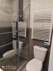 W łazience znajduje się toaleta i przeszklony prysznic. w obiekcie Chambre d'hôtes de l'écluse d'Episy avec spa w mieście Épisy