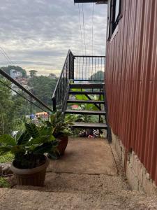 eine Treppe zu einem Gebäude mit Pflanzen darauf in der Unterkunft Serenity House in Baguio City
