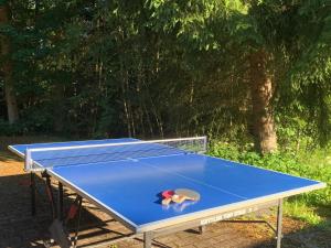 Table tennis facilities at Ferienwohnungen Fuchs & Hase Saig - der Hase or nearby