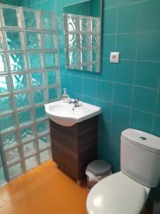 a bathroom with a white toilet and a sink at Nadadouro Eco-country-cottage in Nadadouro