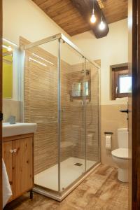 a glass shower in a bathroom with a sink and a toilet at La Borda de Chelis in Broto