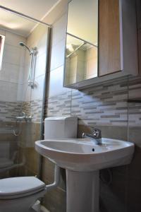 ein Badezimmer mit einem Waschbecken, einem WC und einem Spiegel in der Unterkunft Srna Chalet - Rooms in Žabljak