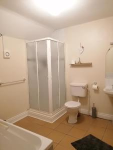La salle de bains est pourvue de toilettes et d'une baignoire. dans l'établissement Barrow mews views, à Carlow