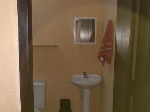 サン・ペードロ・ダ・セーハにあるCasa Vênusの小さなバスルーム(洗面台、トイレ付)