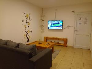 a living room with a couch and a table and a tv at Apartamentos Santa Rosa PB3 in Cordoba