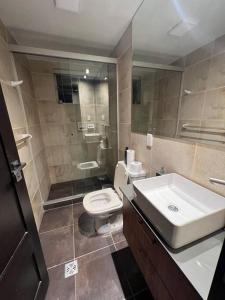 a bathroom with a sink and a toilet and a mirror at Hermoso departamento de dos habitaciones in Tarija