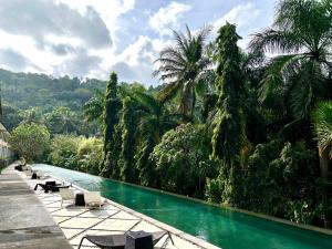 a swimming pool with lounge chairs and palm trees at Kebun Villas & Resort in Senggigi