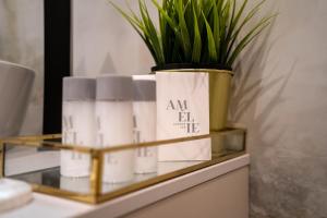 een plank met een plant bovenop een tafel bij Amélie Luxury Rooms in Split