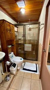 a bathroom with a shower and a toilet and a sink at Apartment 10 minutes by the SJO airport - in Alajuela City