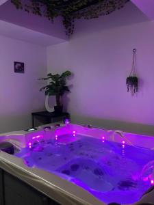 Fotografie z fotogalerie ubytování La marine D'opale v destinaci Ambleteuse