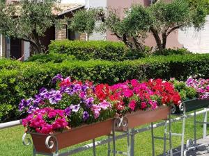 Vonkajšia záhrada v ubytovaní Corfu Glyfada Menigos Resort 46