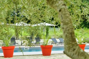 Vonkajšia záhrada v ubytovaní La Bastide 1767 Villa de charme avec piscine 15x5, climatisation, 4 chambres, cuisine extérieur
