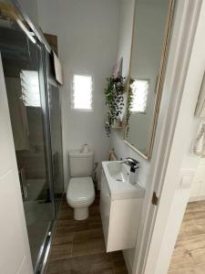 Kúpeľňa v ubytovaní Atico duplex con Terraza en pleno centro de Jerez + 14 fotografií