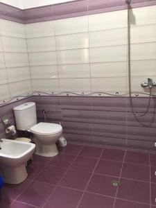 a bathroom with a toilet and a shower at Vila Du Lac Blue in Pogradec