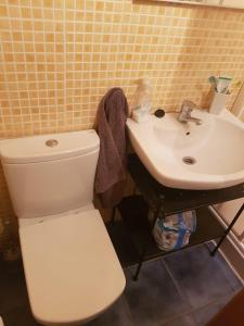 a bathroom with a toilet and a sink at Apartament Orbis La molina in La Molina